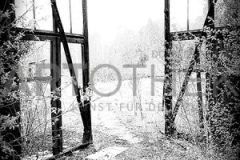 03_20210703_094228_Wasserzeichen-SW-pm3xhro7d7f30pg6yf3z3j25tkbvac4atf45a18wc8