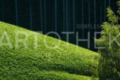 DSC2420_MorgenNacht_klein-1-1-pm3xhqqd6ddsp3hk3wpcj1ap86gi2n0khagnsraaig